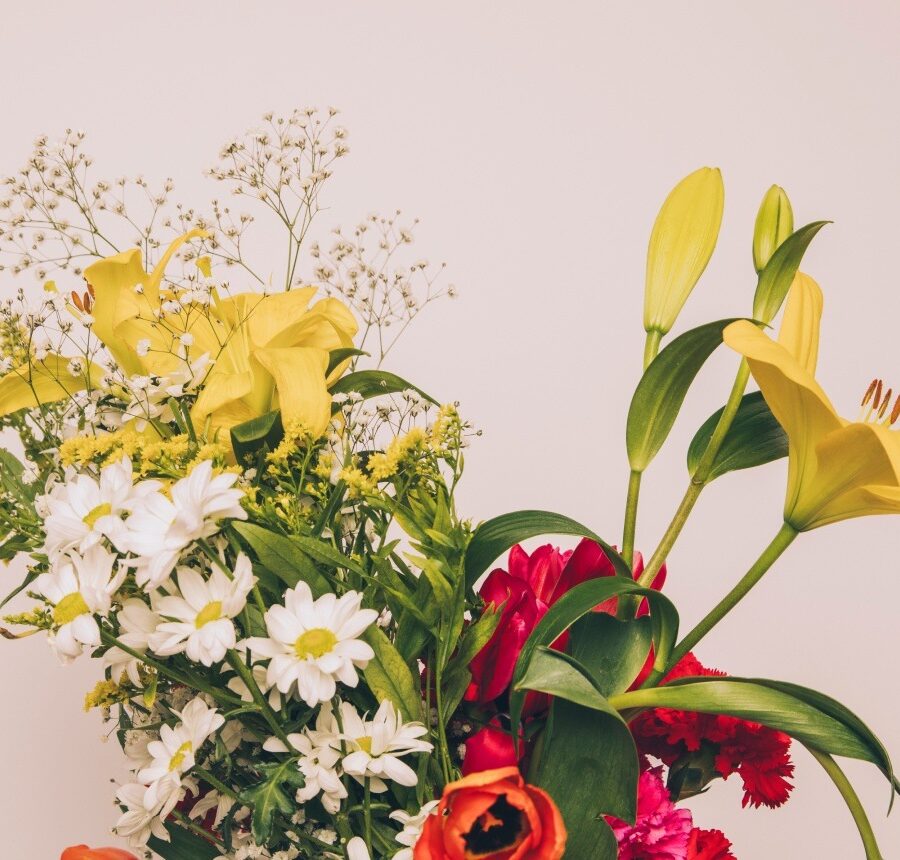 Post format video blogs